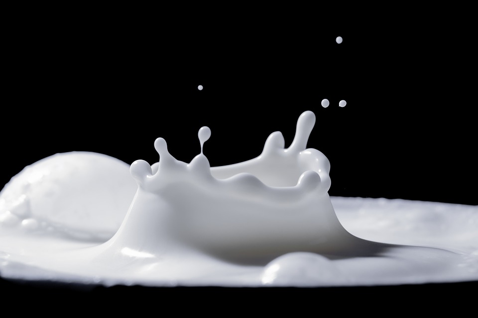 Vad är Karamelliserad Mjölk?